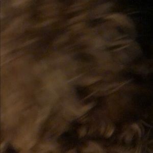 Meet your Posher, Jacob